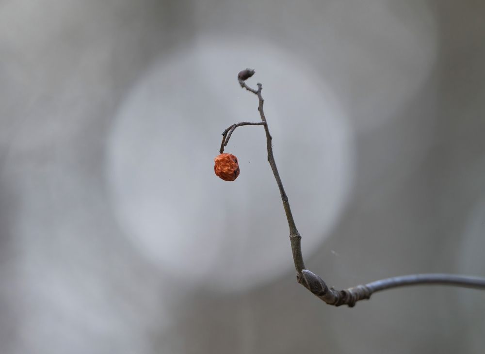 Photograph by Андрей Киселёв