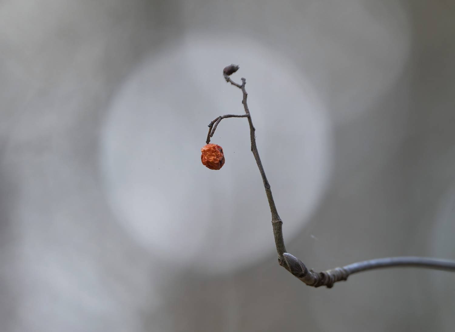 Фотография #11765241