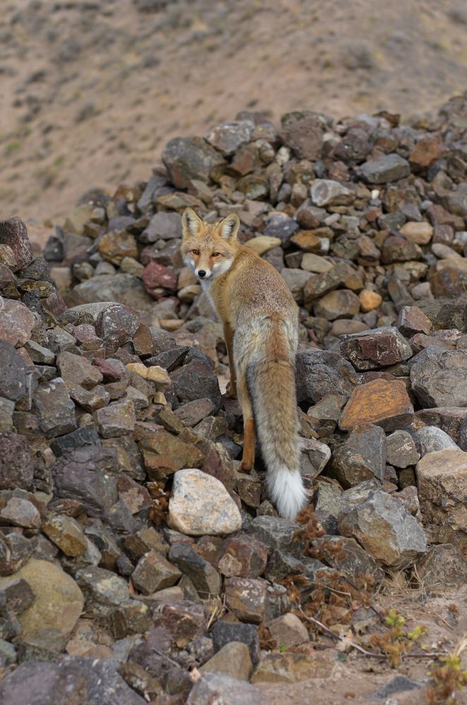 Photograph by Mina Mamdouhi