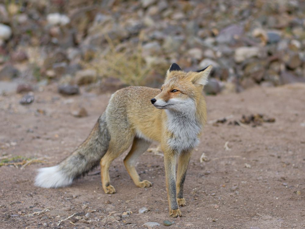 Photograph by Mina Mamdouhi