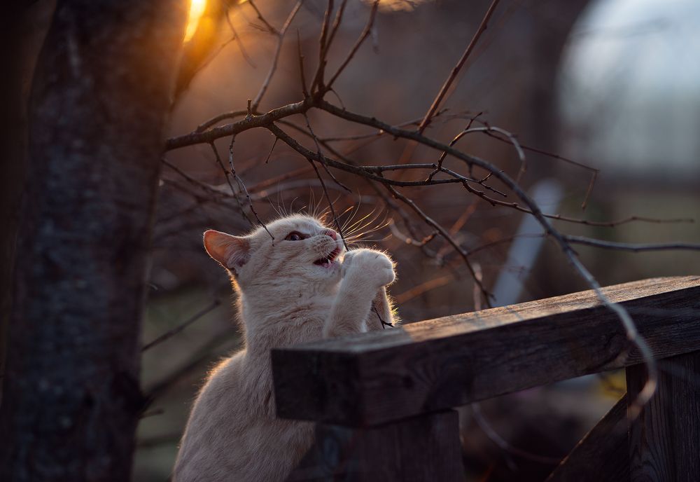 Photograph by Natalia