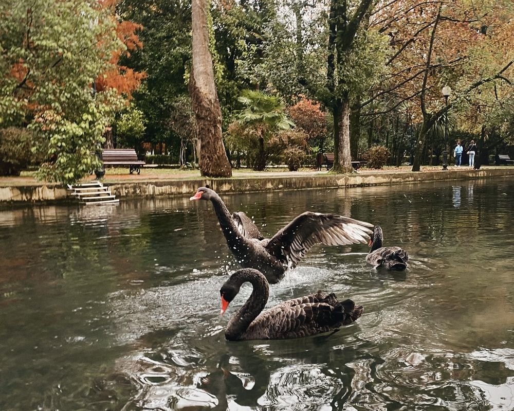 Photograph by Евгения Решетникова