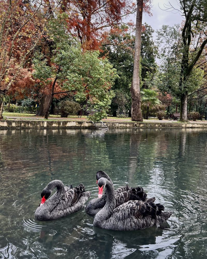 Photograph by Евгения Решетникова