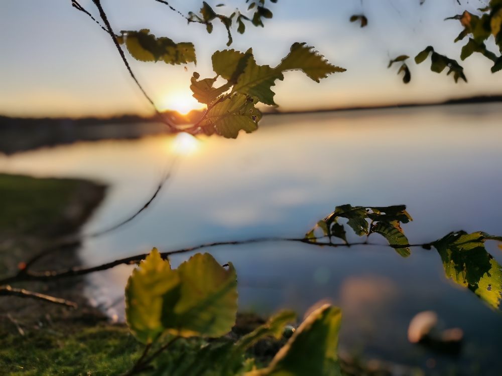 Photograph by Сергей