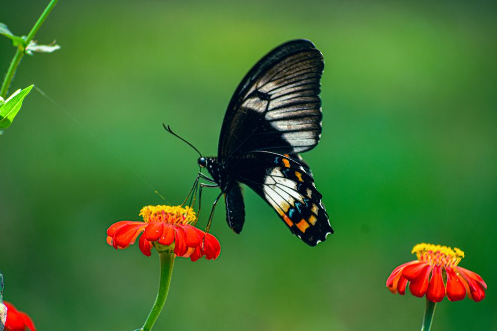 Photograph by Yannah Tekwie