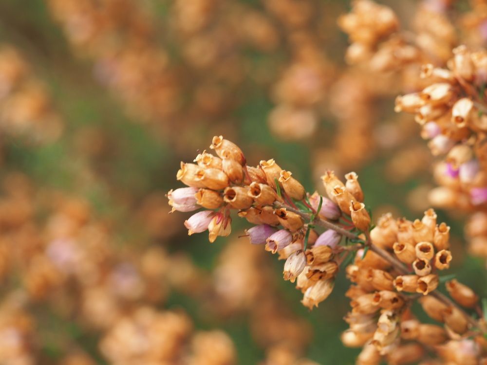 Photograph by Александра Шилова