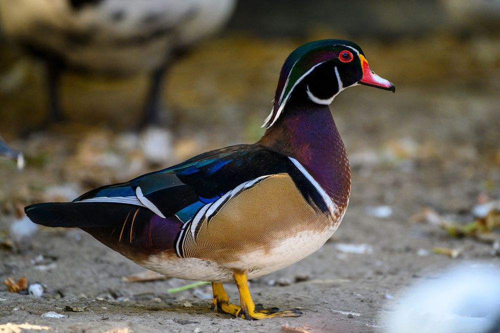 Photograph by levi bagy