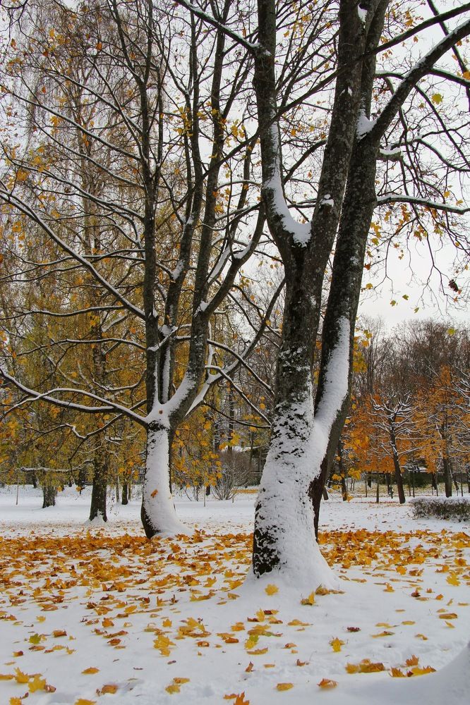 Photograph by Edmund Randal