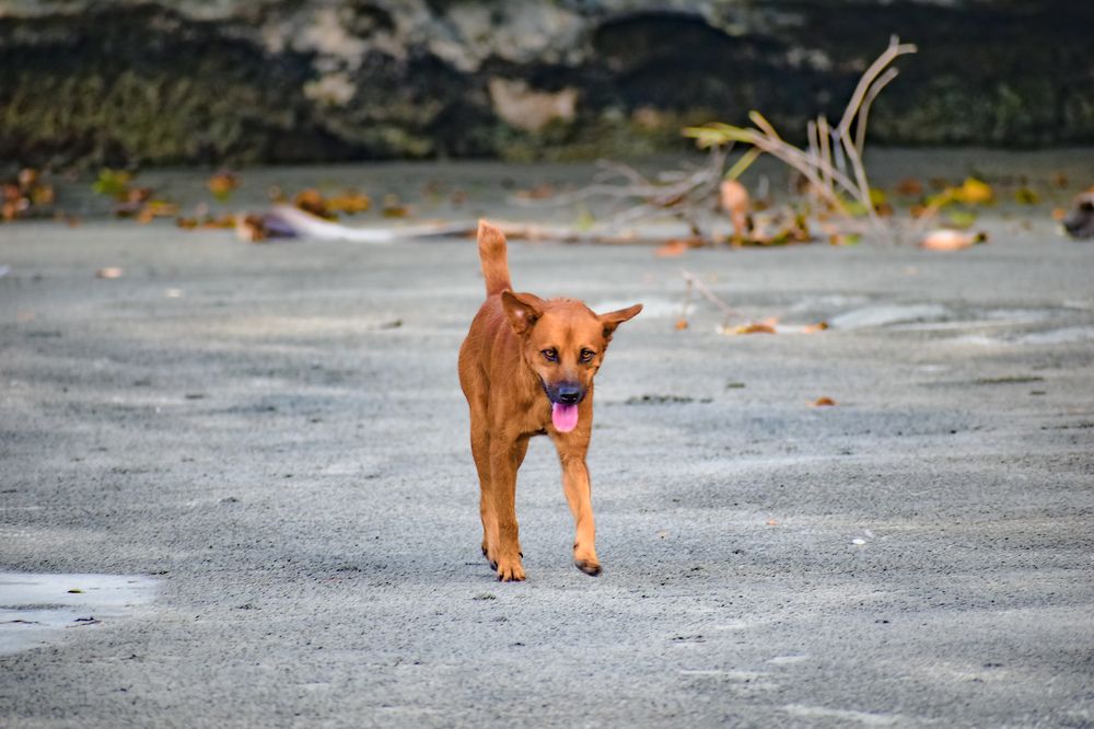 Photograph by Yannah Tekwie