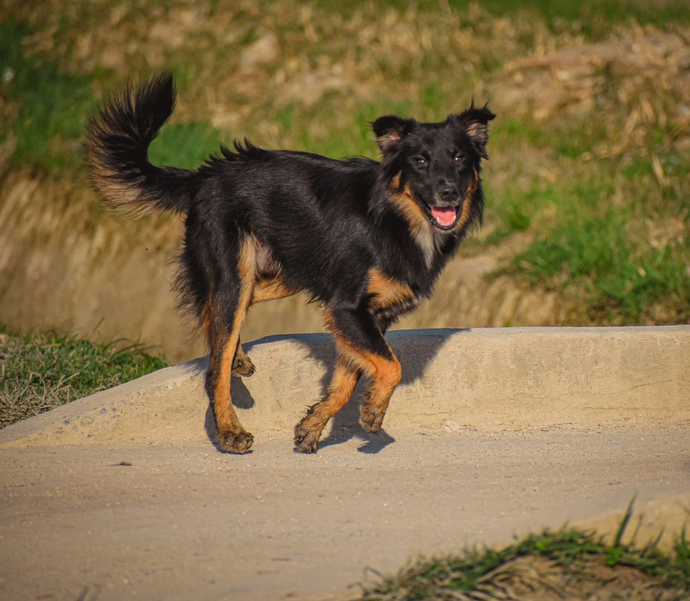 Photograph by Yannah Tekwie