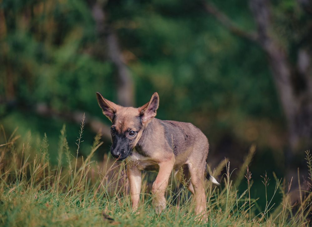 Photograph by Yannah Tekwie