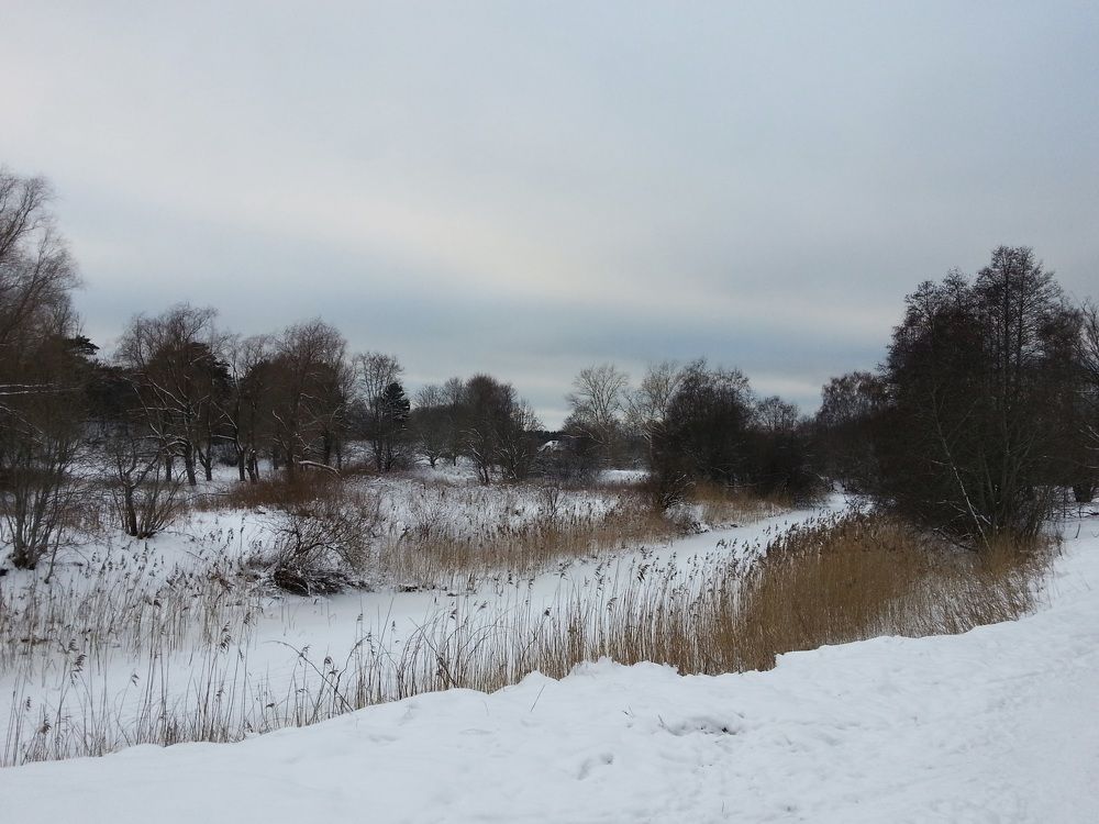 Photograph by Edmund Randal