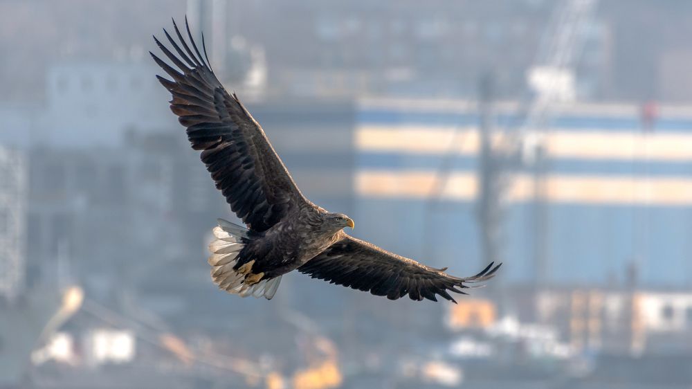 Photograph by константин