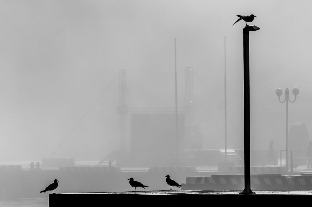 Photograph by константин