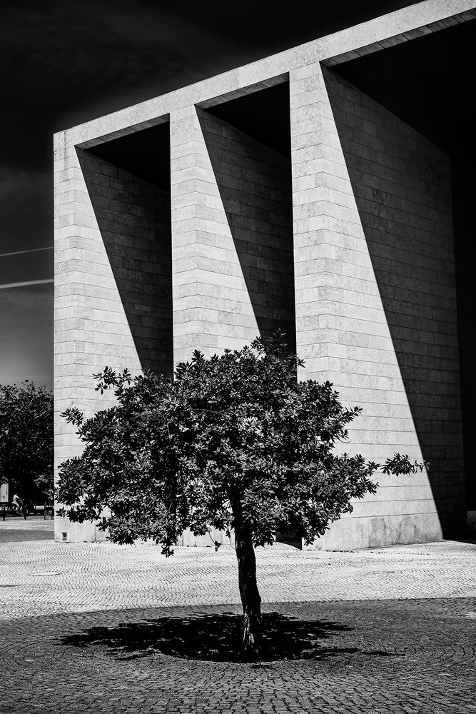 Photograph by Wellington Bezerra Dantas de Souza