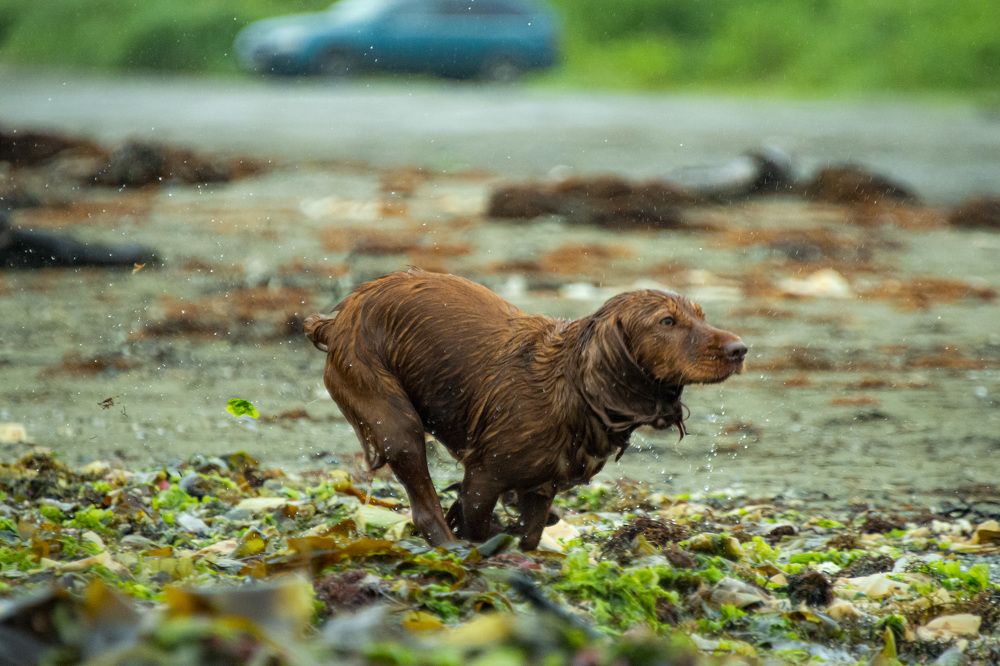 Photograph by Дмитрий Юдин