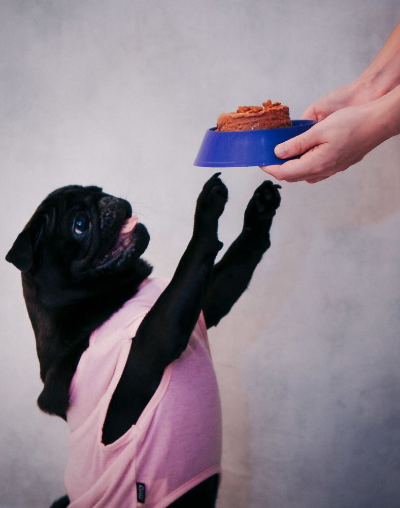 Photograph by Евгений Христолюбов