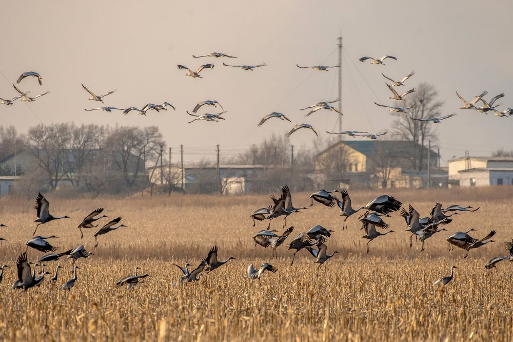 Photograph by константин