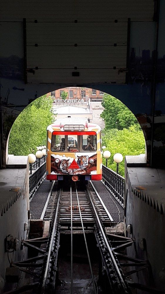 Photograph by Лариса