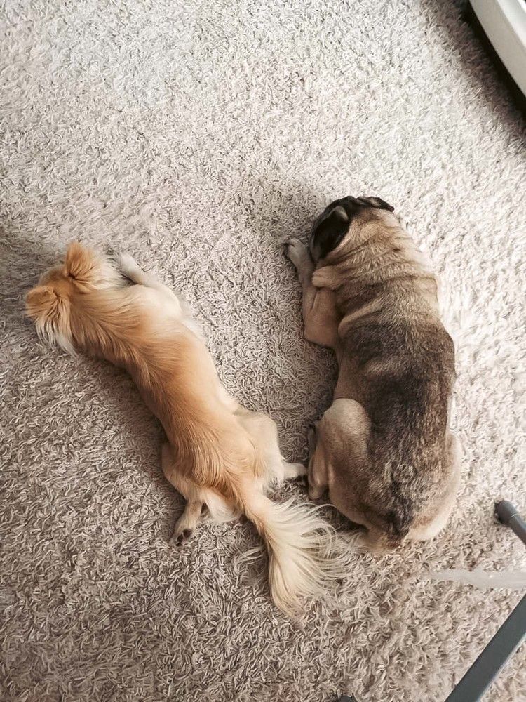 Photograph by Anna Gancheva