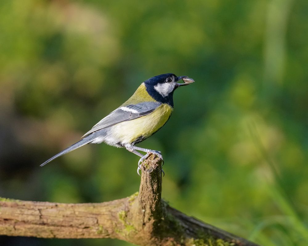 Фотография автора Оксана Дорн