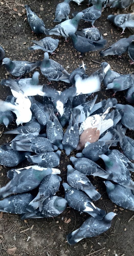 Головка к головке