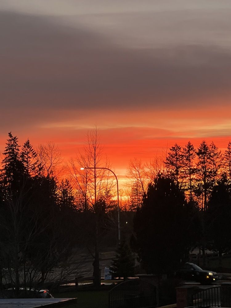 Фотография автора Diana