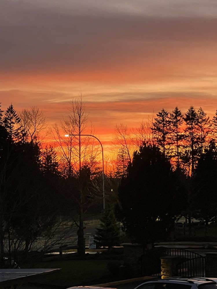 Фотография автора Diana