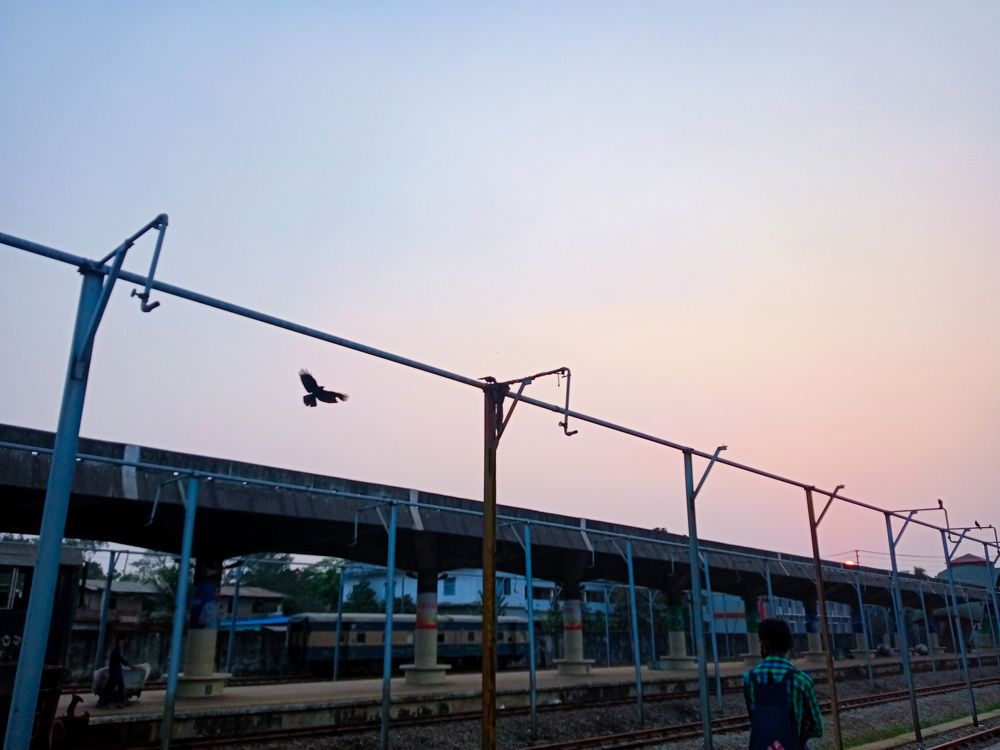 Photograph by Hasan Mehedi Amin