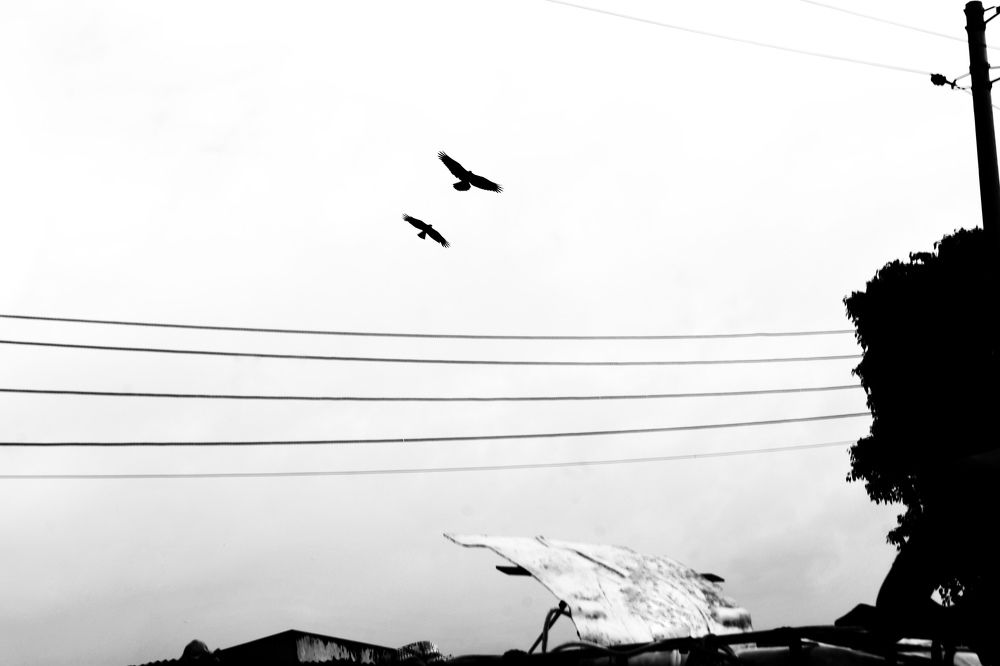 Photograph by Hasan Mehedi Amin