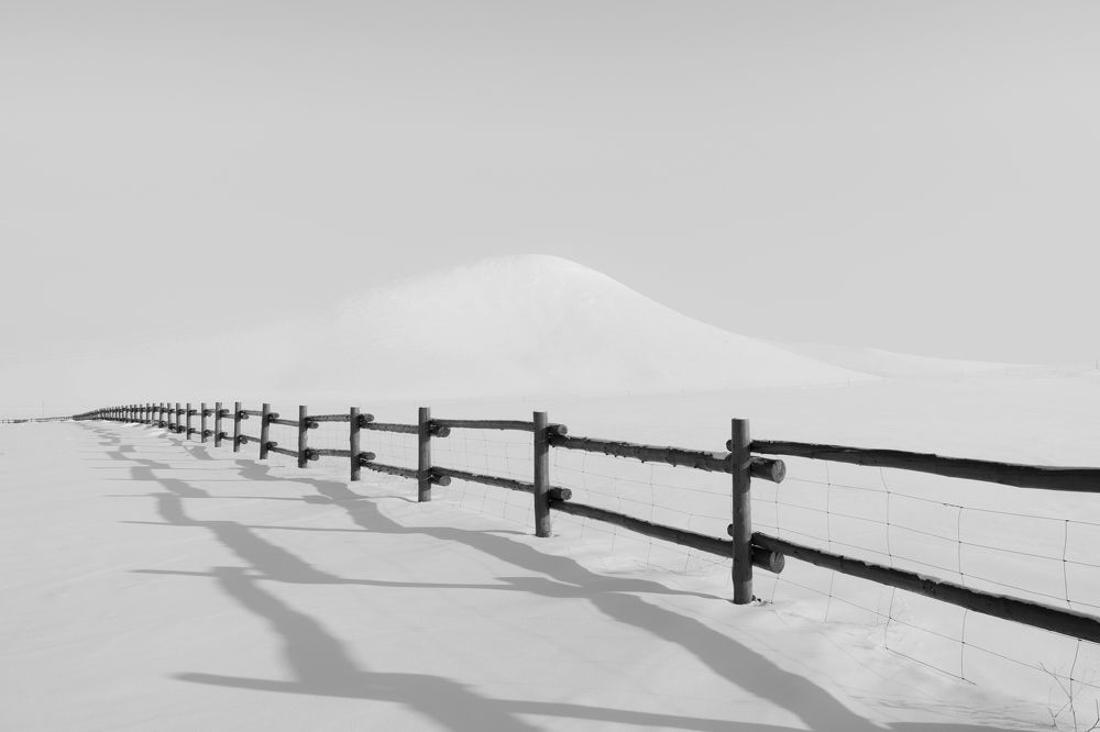 Photograph by Chen Chen