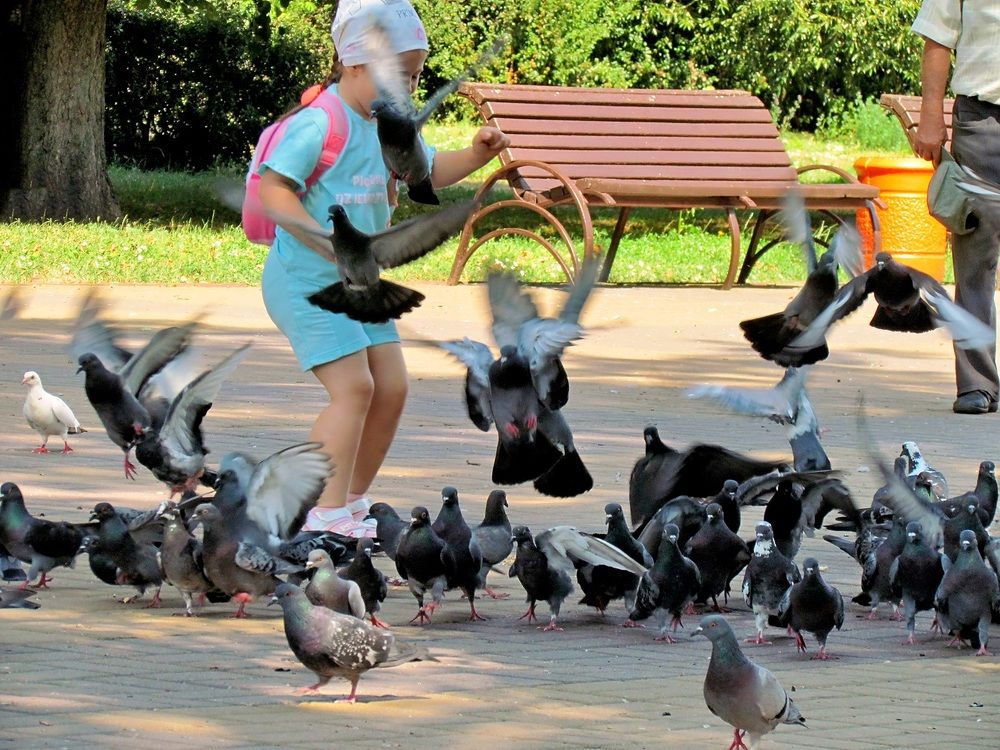 Photograph by Савоцкий Роман