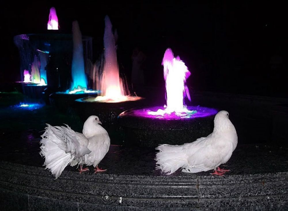 Photograph by Савоцкий Роман