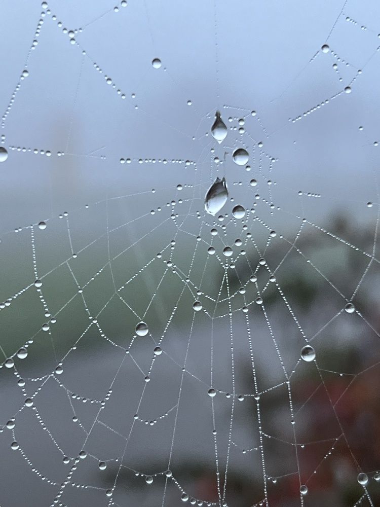 Фотография автора Diana