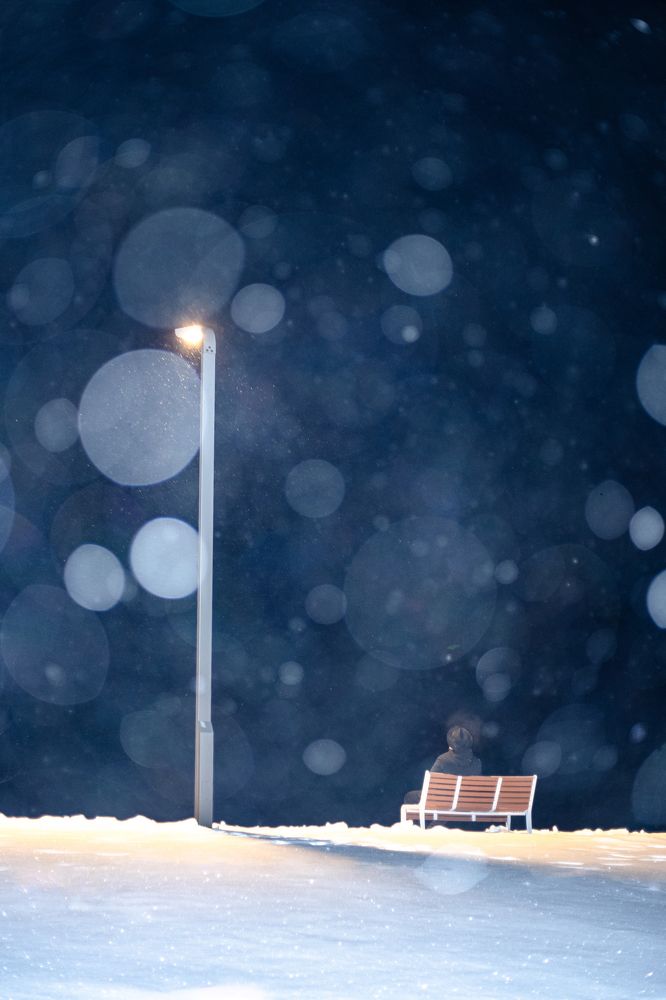 Photograph by Chen Chen