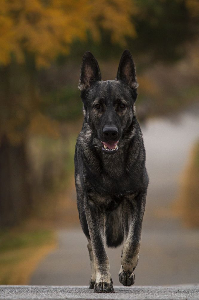 Photograph by Эльнара Исаева