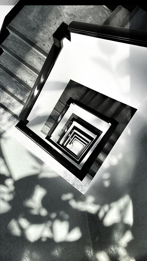 Photograph by Алина Туник