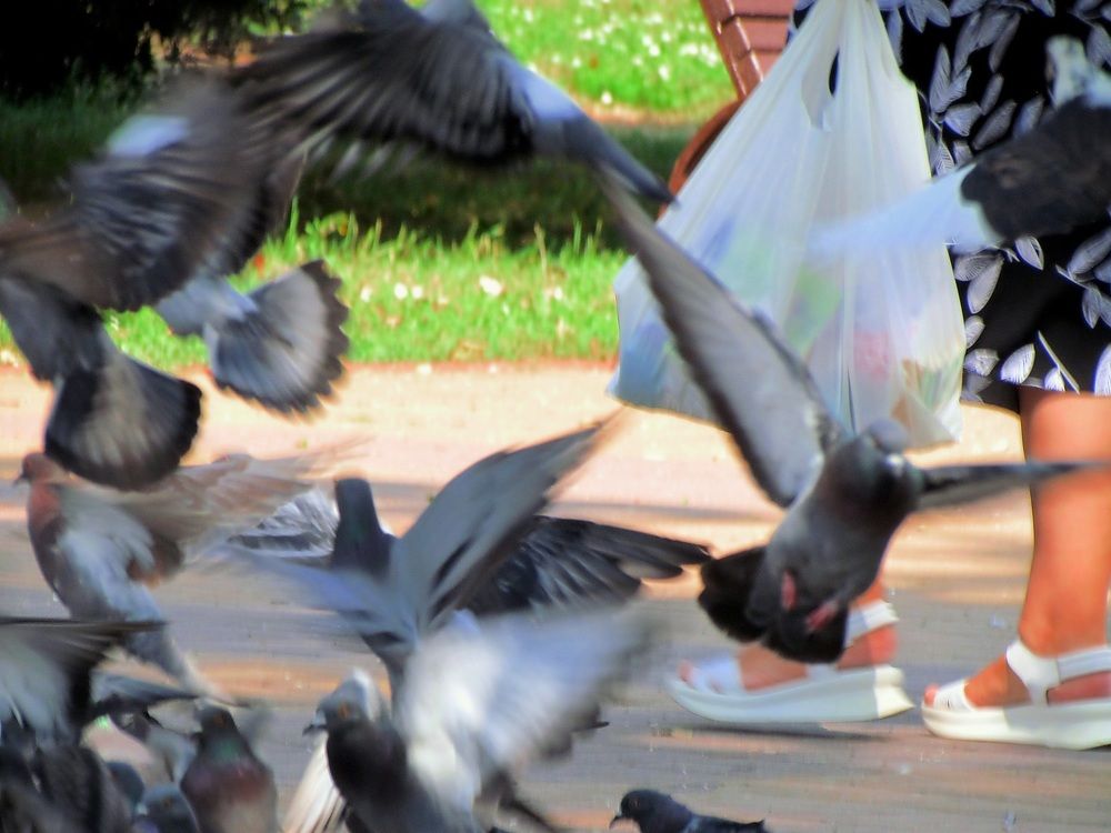 Фотография автора Роман Савоцкий