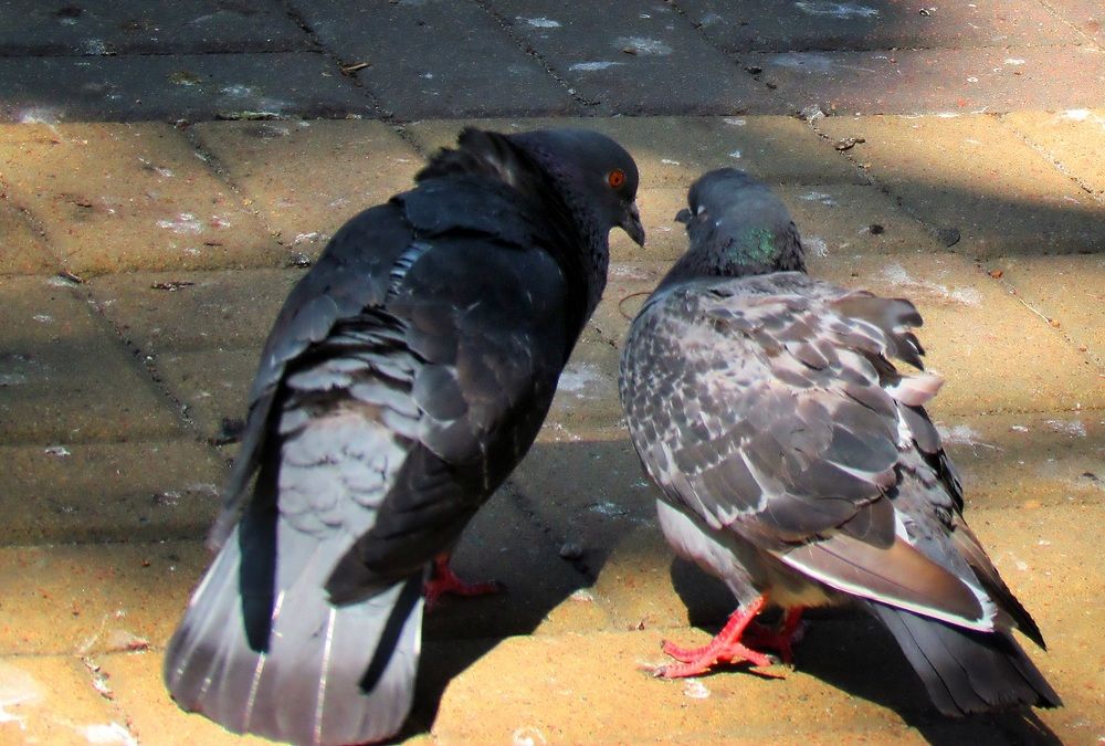 Фотография автора Роман Савоцкий