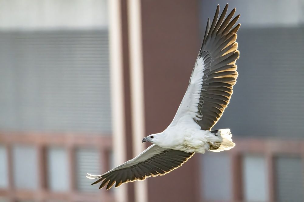 Фотография автора Torres