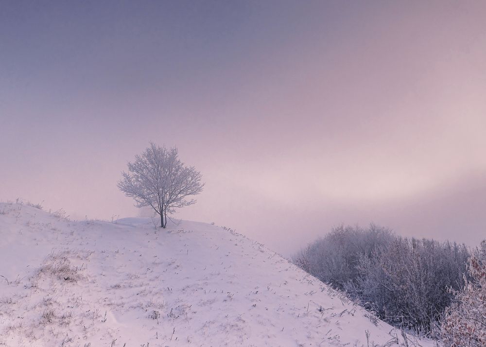 Фотография автора Игорь Васильев