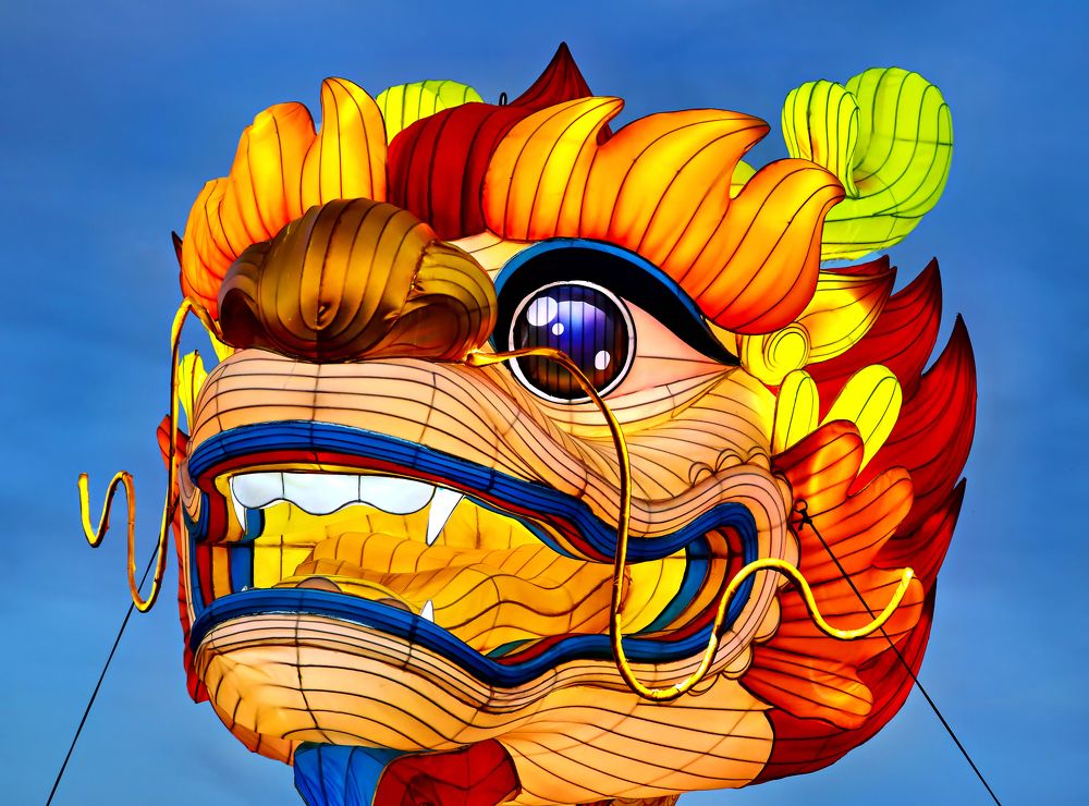 Photograph by Johan Koch