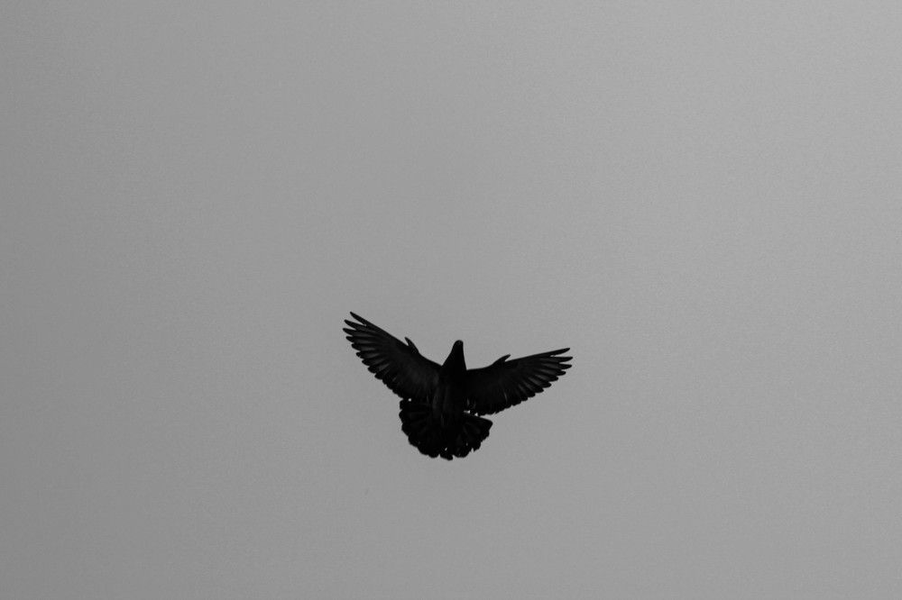 Photograph by Daniil Teryoshin