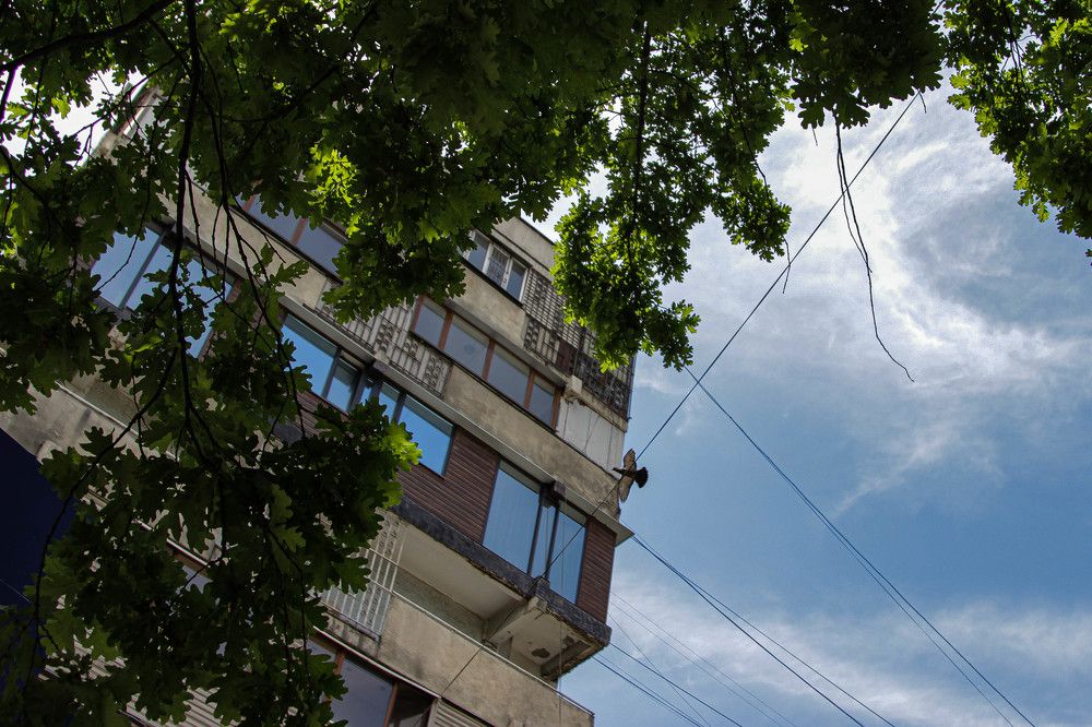 Photograph by Daniil Teryoshin