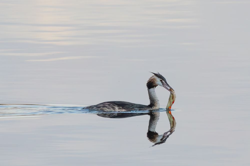 Photograph by Alexei Kriptozoy