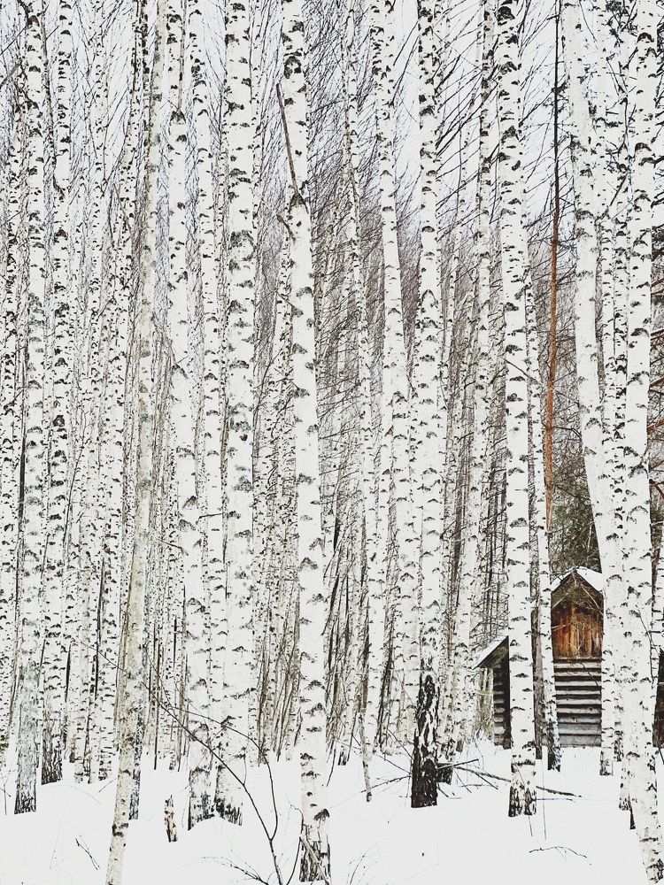 Фотография автора Люда Утина