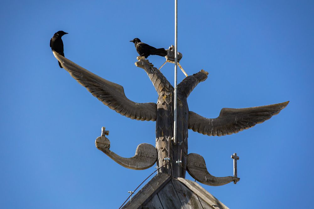 Кто мы с тобой - орлы или вороны?