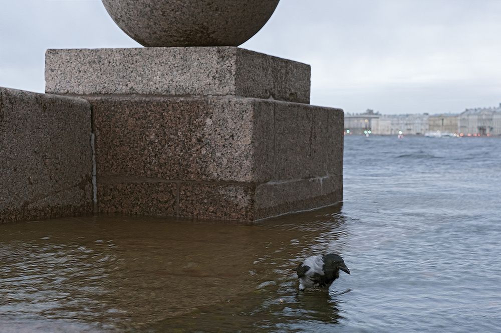 Photograph by Смирнов Алексей