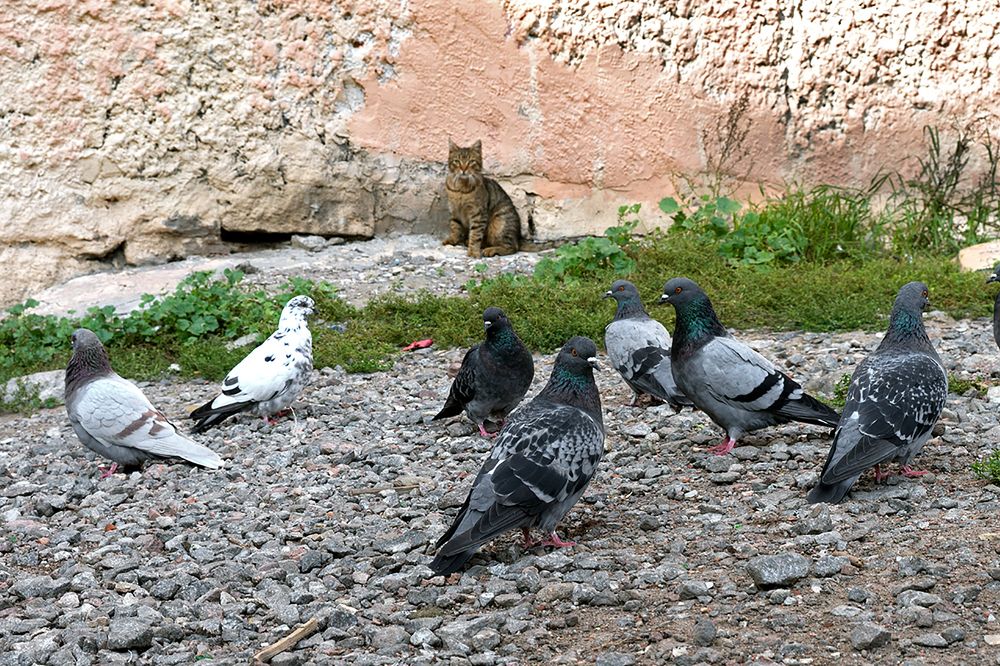 Photograph by Смирнов Алексей