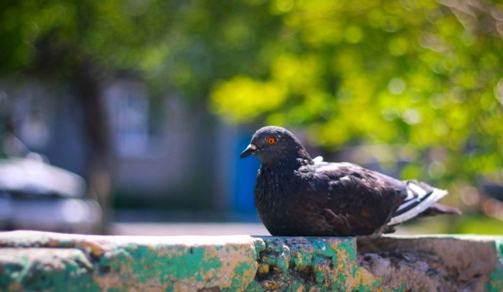 Photograph by Tatiana Kirillova